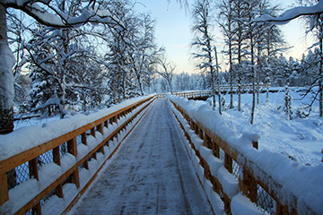 © Foto: Randolf Eriksson Huvudspången som går hela vägen ut till forsen skottas numera vintertid av Älvsbyns kommun.