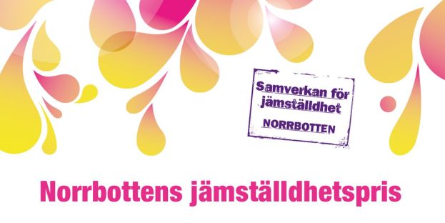 Grafiskt element med texten Norrbottens jämställdhetspris