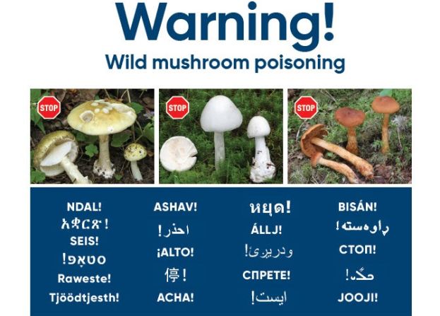 Bild på olika giftiga svampar och texten varning på flera språk