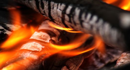 Foto: Maximillian Norberg