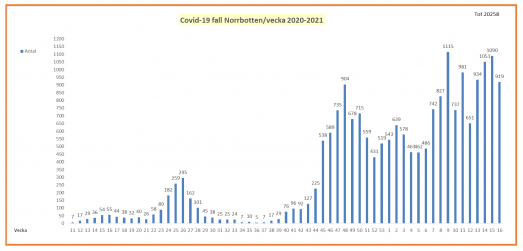 Covid-19-fall per vecka i Norrbotten.