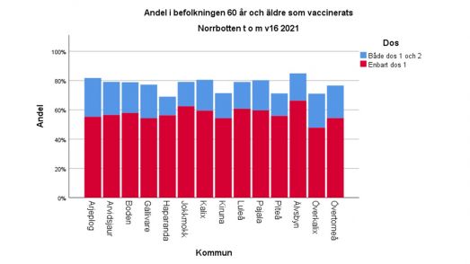 Andel 60 år och äldre i Norrbotten som vaccinerats till och med vecka 16. I Älvsbyns kommun är det flest vaccinerade hittills, över 80%.