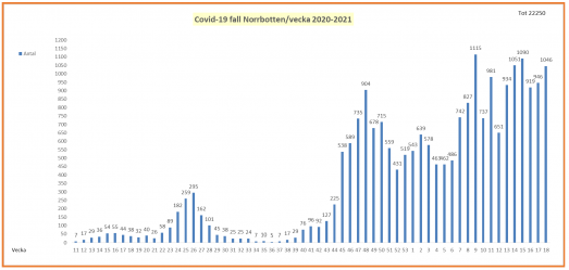 Covid-19-fall per vecka i Norrbotten