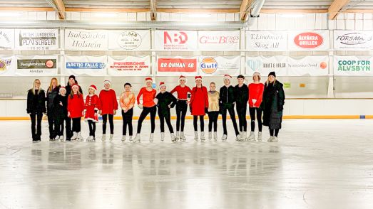 Bild på föreningens medlemmar under en julshow.