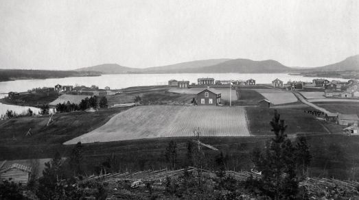 Gammal bild på Korsträsk by.