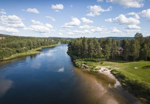 Bild som visar Selholmen.