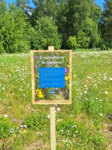 Skylt om att gräsmattor får blomma.