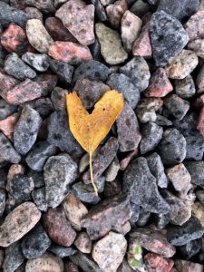 Bild från fototävling, fotograf Kristina Öberg.