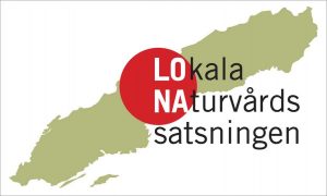 Lona logotype.