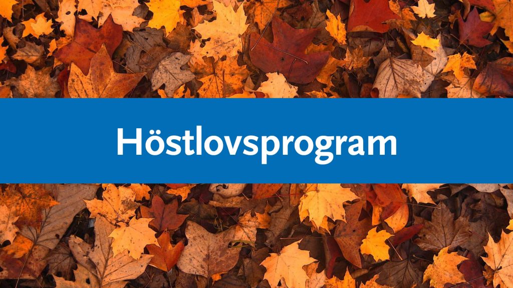 Bilden visar massor med höstlöv och en blå platta med texten höstlovsprogram.
