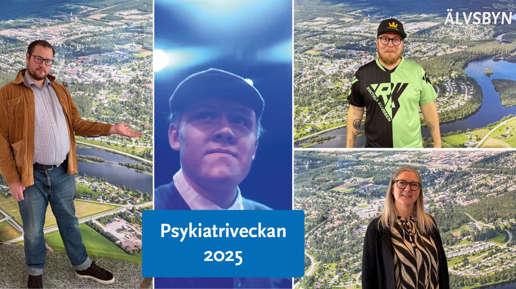 Bilden visar några av föreläsarna under veckan. Andreé Johansson, Linda Vesterberg, PPontus Johansson och Mikael Blomberg.