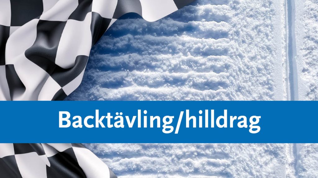 Bilden visar en målflagga på ett skoterspår med texten Backtävling/hilldrag