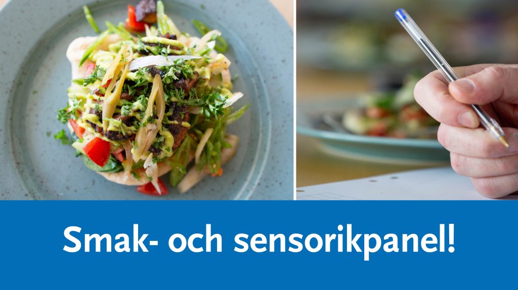 En tallrik med mat samt en hand som skriver något på ett papper.