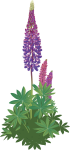 Bilden visar en tecknad blomsterlupin