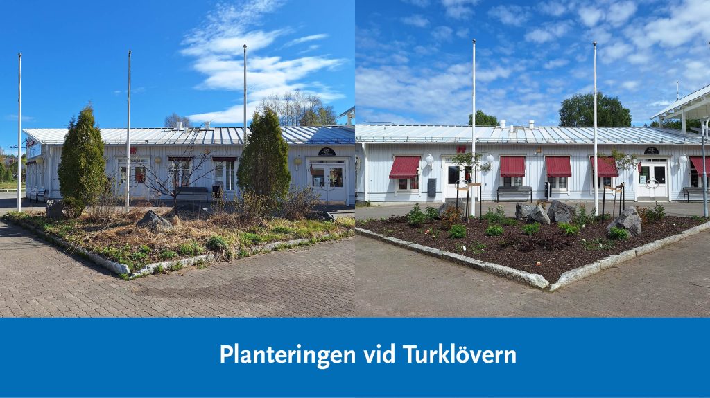bilden visar plantering vid Turklövern