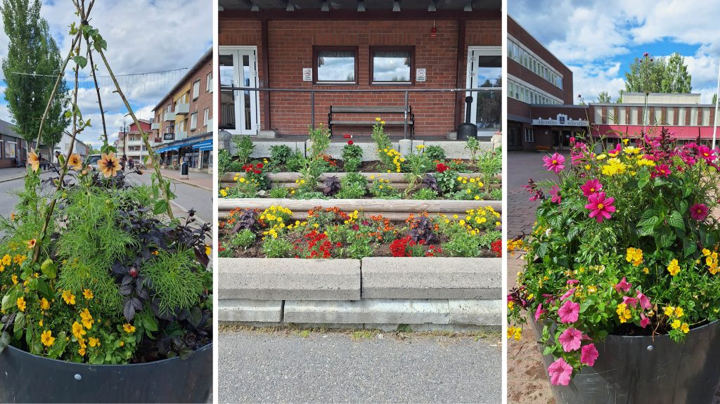 Bilden visar blomster i Älvsbyns centrum
