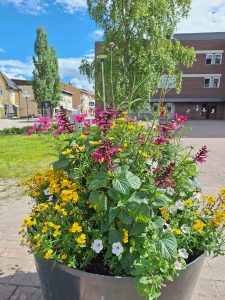 Bilden visar en blommuppsättning utomhus.