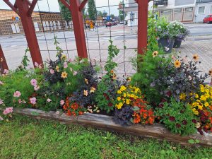 Bilden visar en blommuppsättning utomhus.