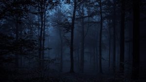 Mörk skog, spökvandring